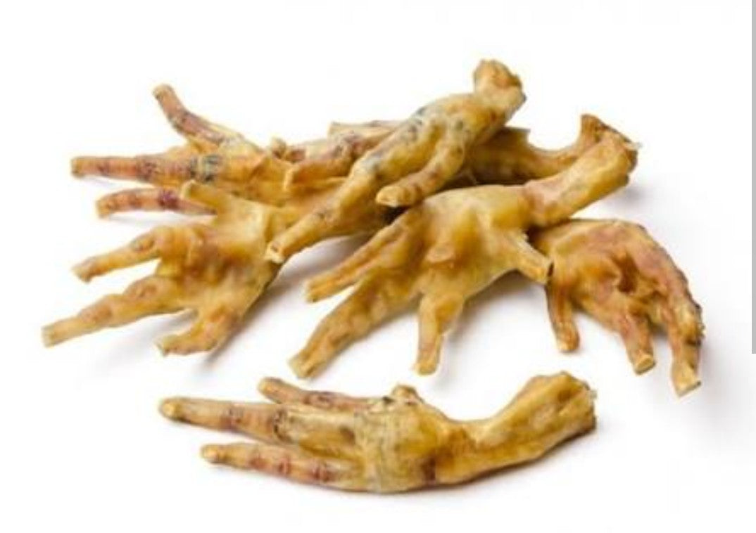 Dehydrated Chicken Foot | Folk Magic, Witchcraft & Protection Work